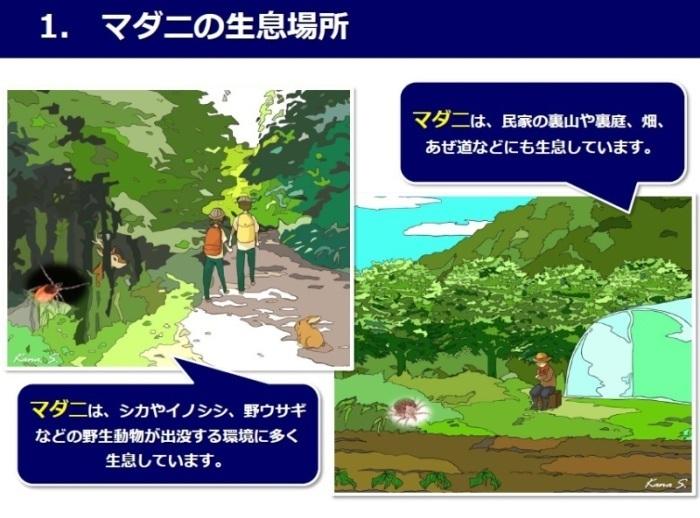 マダニ対策01