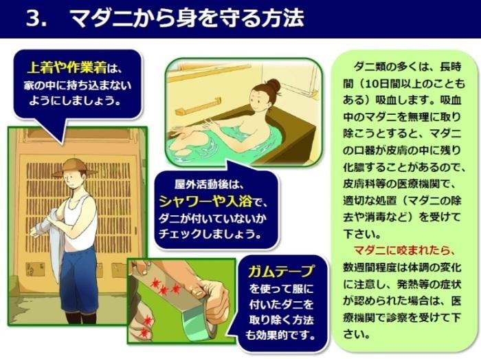 マダニ対策03