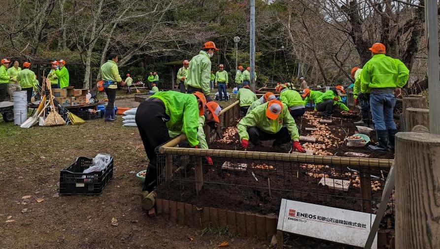 チューリップ植栽活動の様子 令和5年11月11日