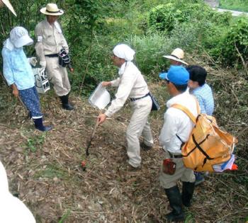 地籍調査の進め方