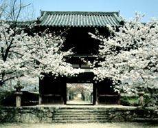 長保寺大門(国宝)