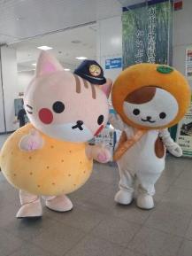 わだニャンとかいニャン