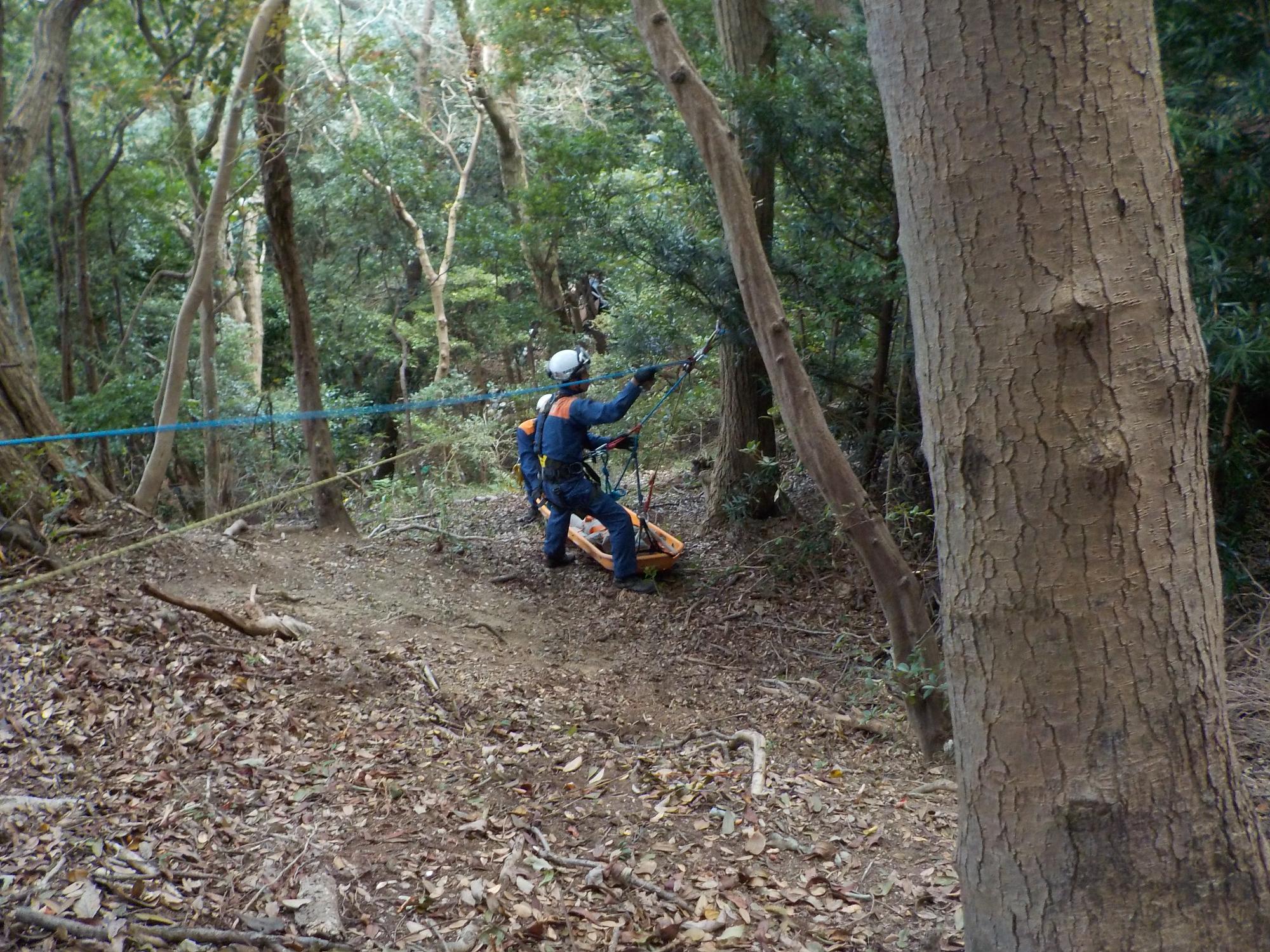 山岳救助訓練