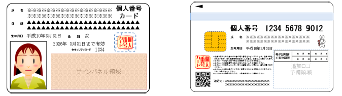 個人番号カード見本