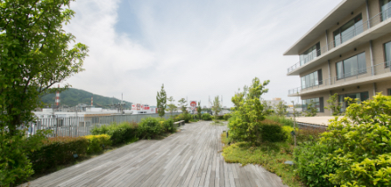 沿革
